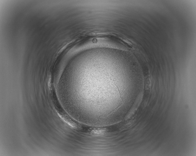 X0000080150560200612081325