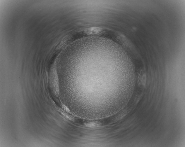 X0000080150561200612081325