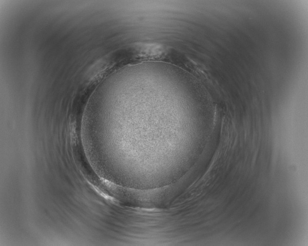 X0000080150564200612081325