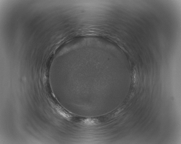 X0000080150566200612081325