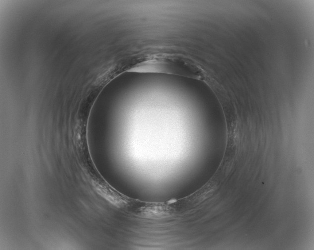 X0000080150567200612081325