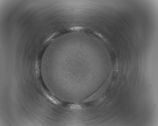 X0000080150572200612081325