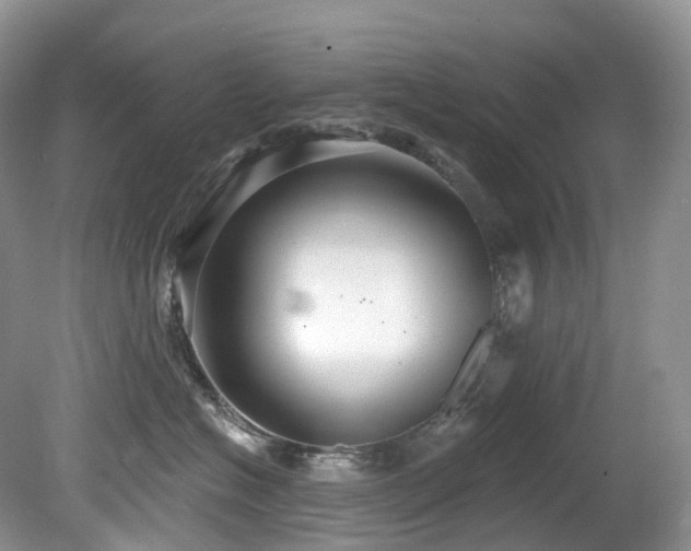 X0000080150574200612081325