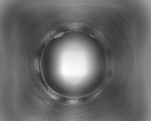 X0000080150575200612081325