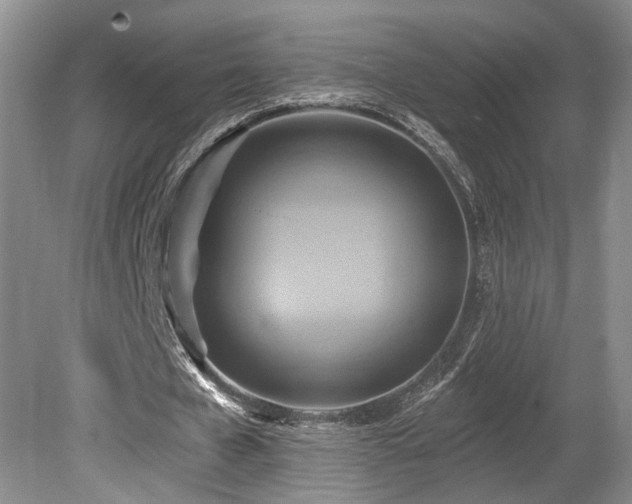 X0000080150577200612081324