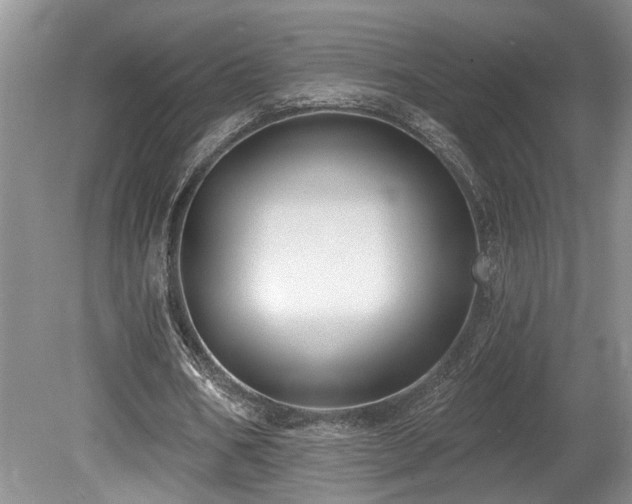 X0000080150578200612081324