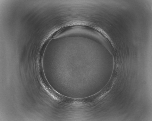X0000080150581200612081324