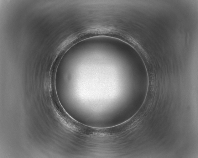 X0000080150582200612081324