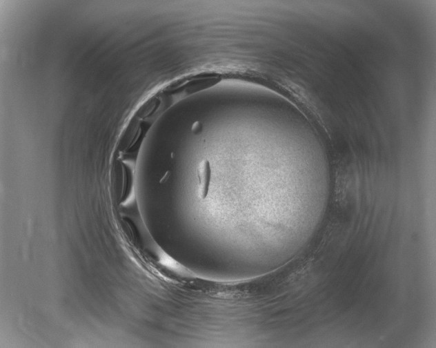 X0000080150584200612081324
