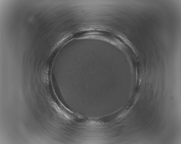 X0000080150585200612081324
