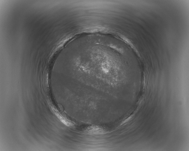 X0000080150589200612081324