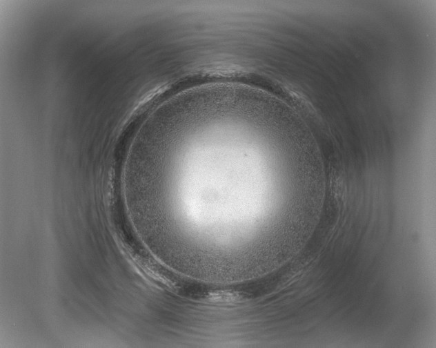 X0000080150591200612081324