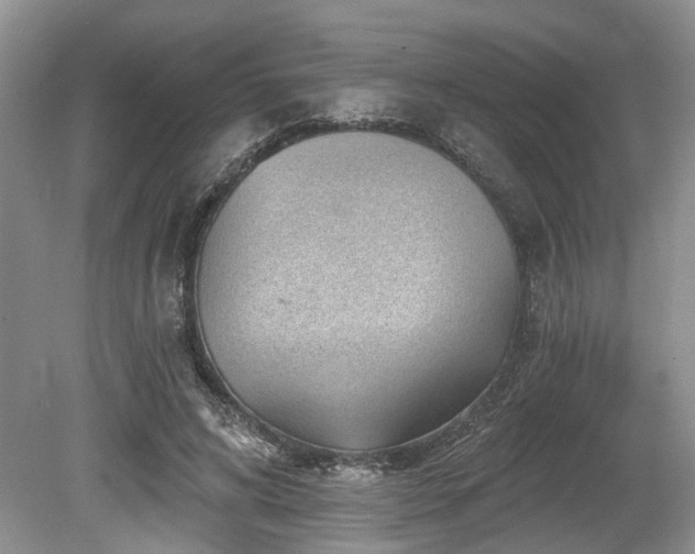 X0000080150592200612081324