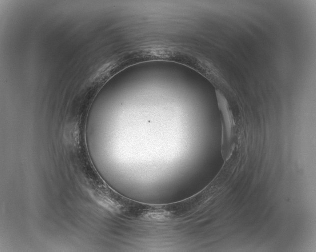 X0000080150595200612081324