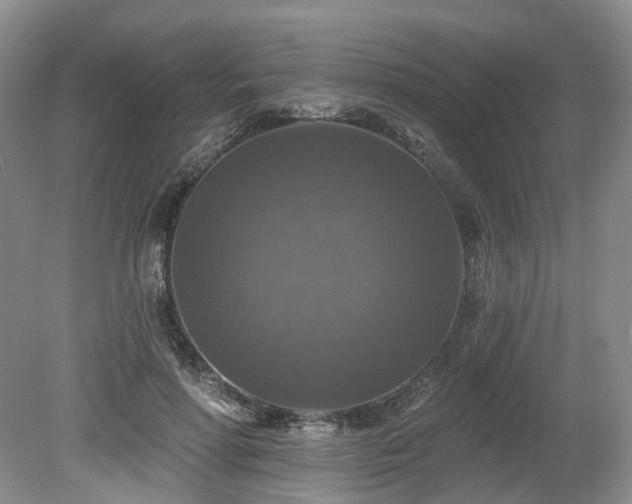 X0000080150598200612081324