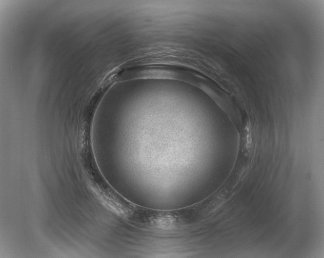 X0000080150600200612081324