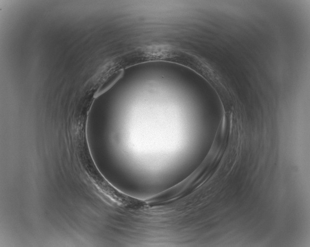 X0000080150601200612081324
