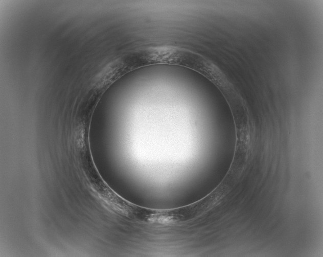 X0000080150602200612081324