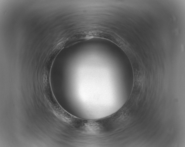 X0000080150603200612081324
