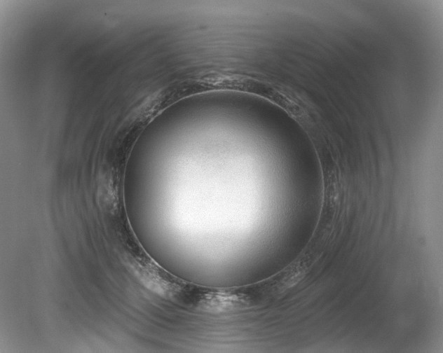 X0000080150607200612081323