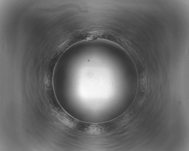 X0000080150608200612081323