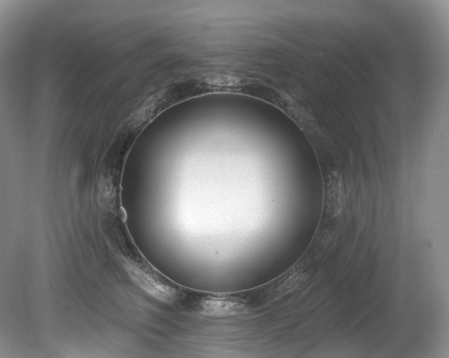 X0000080150614200612081323