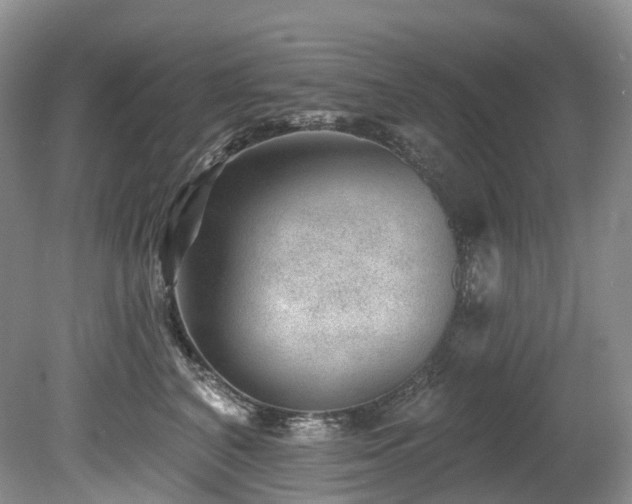 X0000080150616200612081323