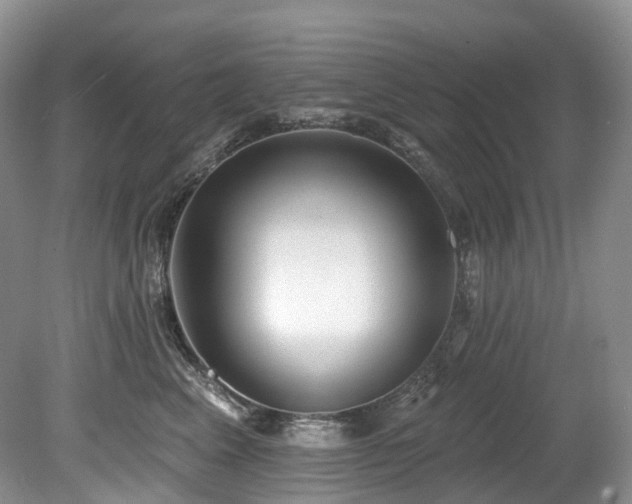X0000080150617200612081323