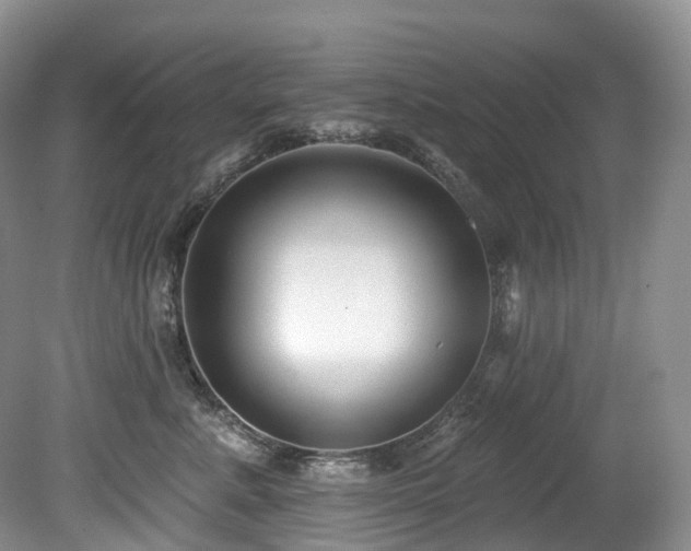 X0000080150619200612081323