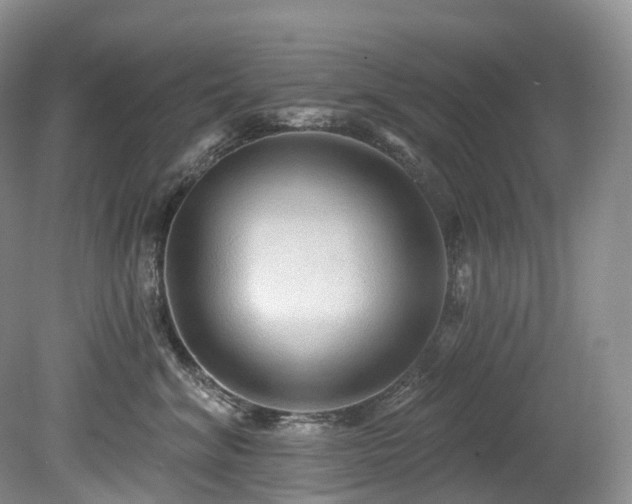 X0000080150620200612081323