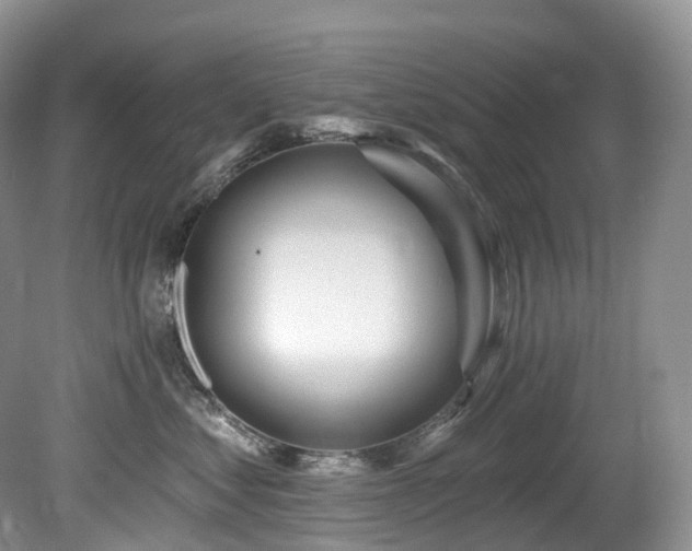 X0000080150621200612081323