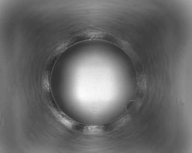 X0000080150622200612081323