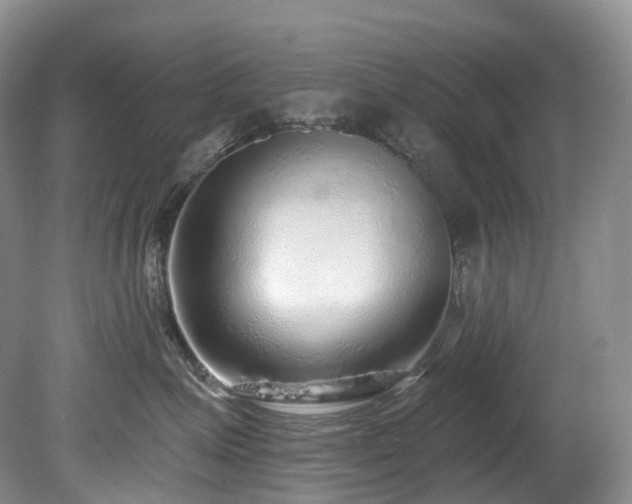 X0000080150623200612081323