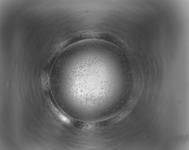X0000080150624200612081323