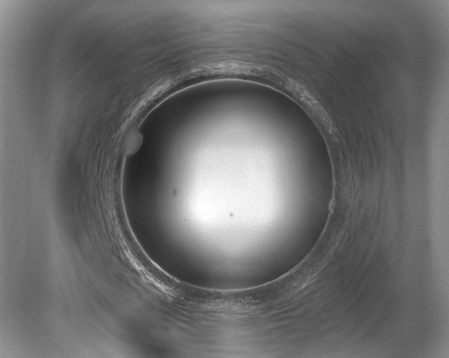 X0000080150625200612081322