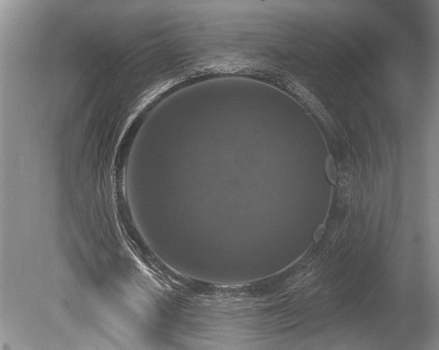 X0000080150626200612081322