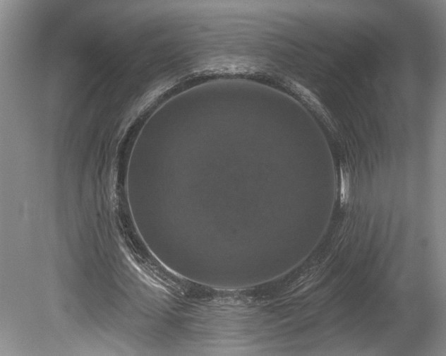 X0000080150627200612081322