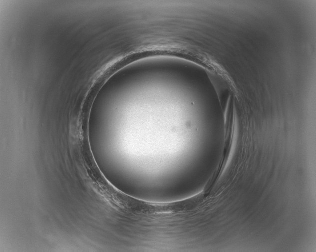 X0000080150628200612081322