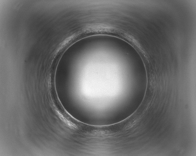 X0000080150629200612081322