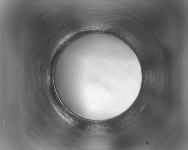X0000080150632200612081322