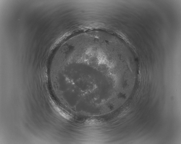 X0000080150634200612081323