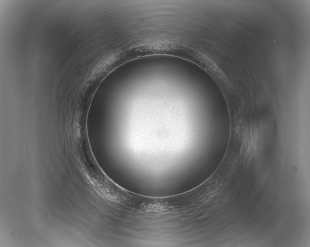 X0000080150635200612081323