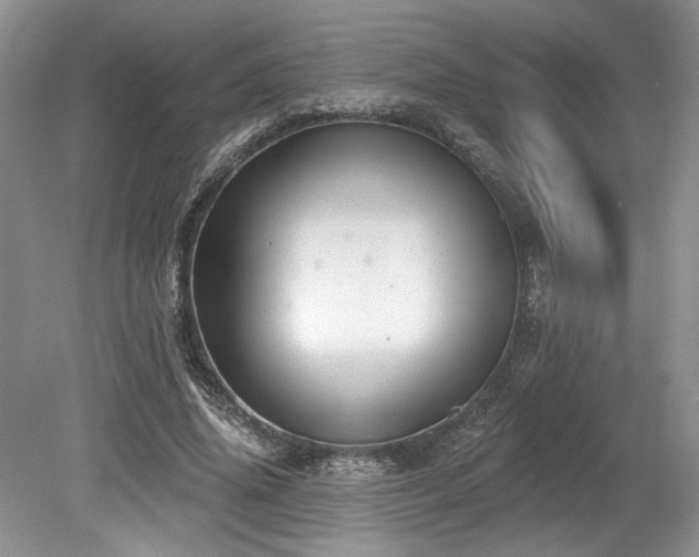 X0000080150636200612081323