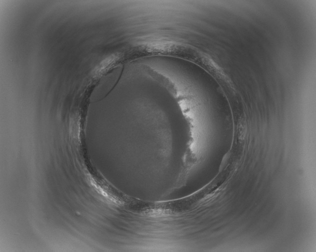 X0000080150637200612081323