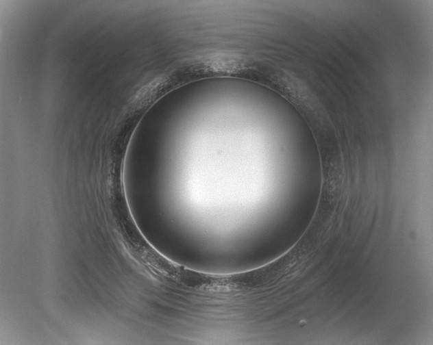 X0000080150639200612081323