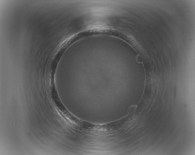 X0000080150640200612081323