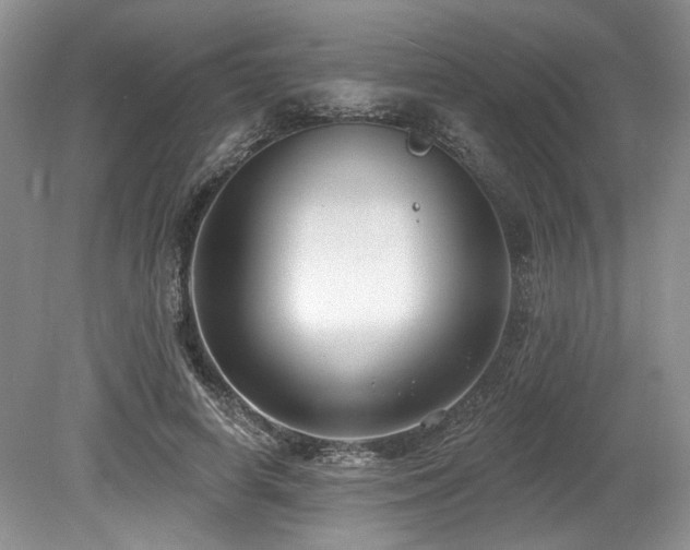 X0000080150642200612081323