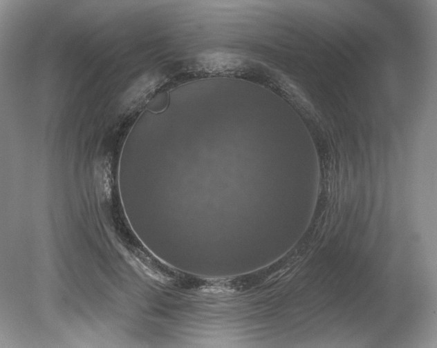 X0000080150644200612081323