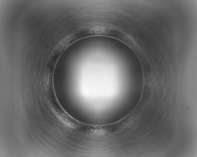 X0000080150645200612081323