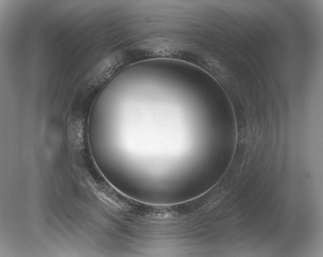 X0000080150646200612081323